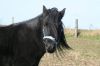 Kiemy_7-10-12_004.jpg