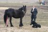 Lady_foler_19-3-10_014.jpg