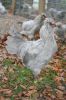 Ponyer_okt_2011_og_hons_023.jpg