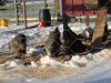 DSC02046.JPG