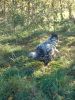 Bl__oktober_09_077.JPG