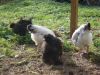 DSC00613.JPG