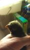 IMAG0134.jpg