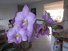 IMG_1764.JPG