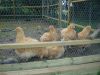 DSC01149.JPG