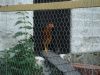 DSC01150.JPG