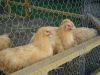 DSC01163.JPG