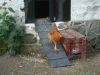 DSC01165.JPG