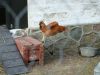 DSC01166.JPG