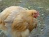 DSC01168.JPG