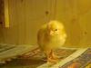 DSC01473.JPG
