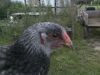 BILD1683.JPG
