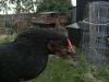 BILD1684.JPG