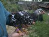 BILD1685.JPG