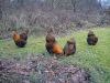 DSC00049.JPG
