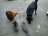 DSC00127_2.JPG