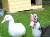 september2007_032.jpg