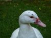 september2007_037.jpg