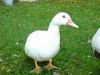 september2007_038.jpg