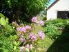 Filnavn=DSC02323.JPG
Filstørrelse=266KiB
Dimensioner=1024x768
Dato for tilføjelse=%21 %218, %2011 DSC02323.JPG
