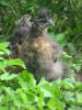 Picture_053.jpg