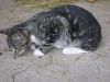 Picture_067.jpg
