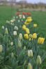 DSC_0279.JPG
