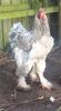 20111210_115915.jpg