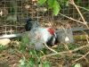 DSC05682.JPG