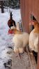 DSC00904.jpg