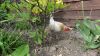 DSC01250.JPG