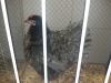 IMG_20130112_164216.jpg