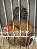 IMG_20130112_164856.jpg