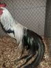 IMG_20130112_165001.jpg