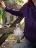 DSC01455.JPG