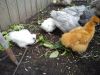 DSC06839.jpg