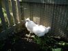 DSC06853.jpg