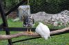 DSC_0088~0.JPG