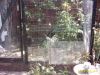 13_maj_2011_005_28640x48029.jpg