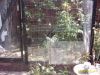 13_maj_2011_005_28800x60029_28640x48029.jpg
