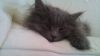 DSC00073.JPG