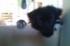 DSC00228.JPG