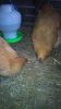 DSC00478.JPG