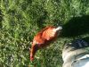 Sommer_2011_028.jpg