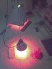 IMG_2080_1.gif