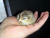 20120916_133524.jpg