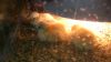 mobil_billeder_10-6_2012_212.JPG