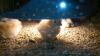 mobil_billeder_10-6_2012_213.JPG