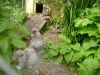 DSC02681~0.JPG