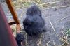 17_september_2011_281629.JPG